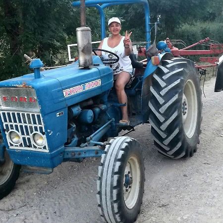 Chez Romu Daire Rieutort Dış mekan fotoğraf