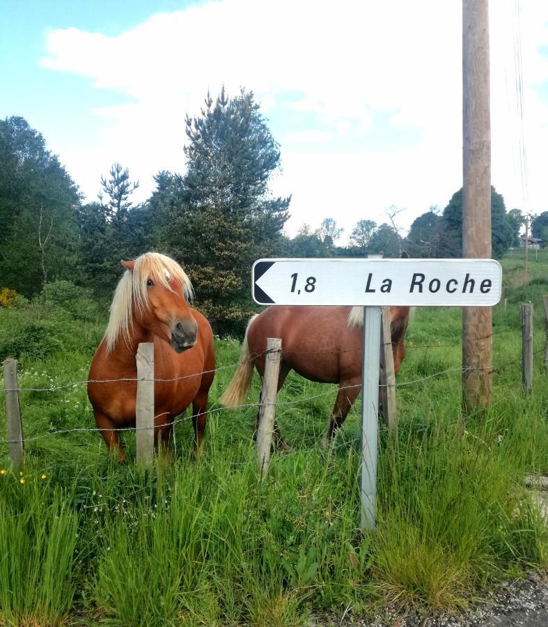 Chez Romu Daire Rieutort Dış mekan fotoğraf