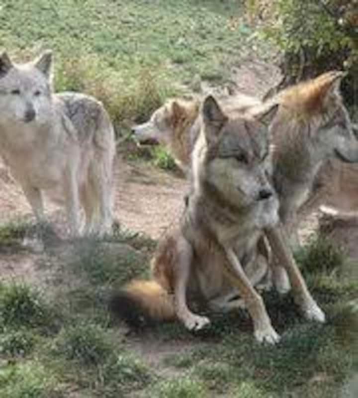 Chez Romu Daire Rieutort Dış mekan fotoğraf