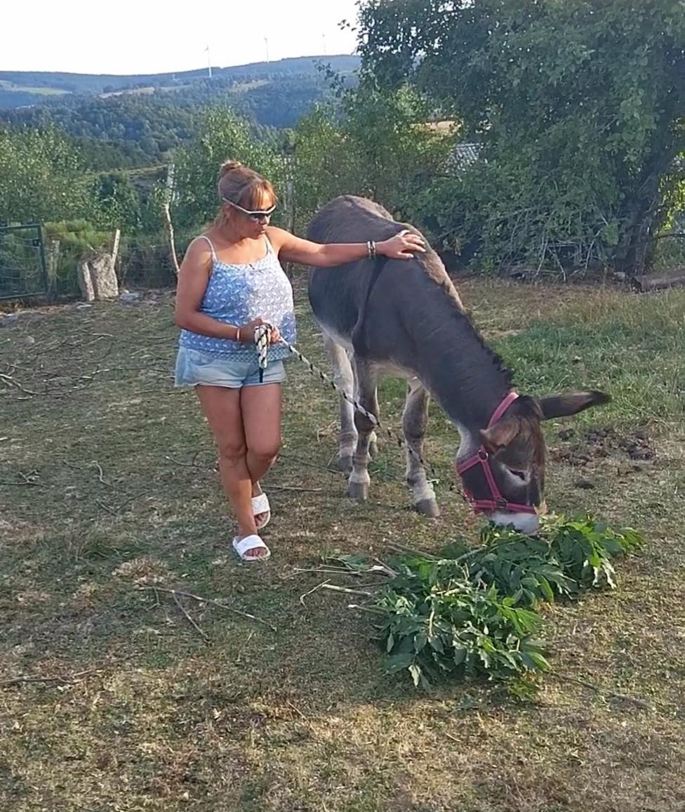 Chez Romu Daire Rieutort Dış mekan fotoğraf